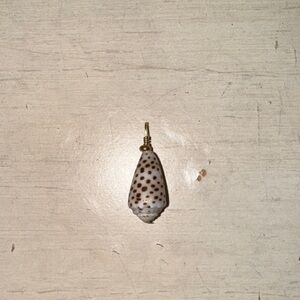 Gold filled flea cone shell pendant